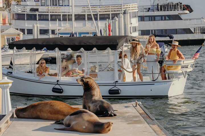 Luxury Shared E-Boat Cruise with Wine, Charcuterie & Sea Lions Spotting - Photo 1 of 23